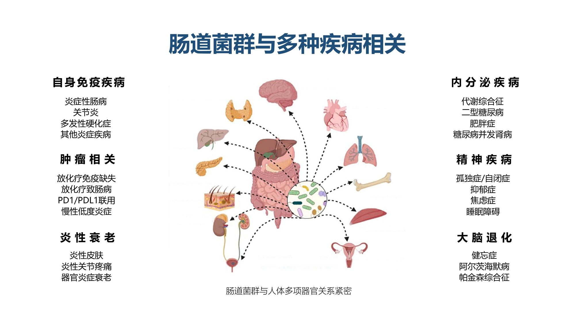 肠道菌群与多种疾病相关