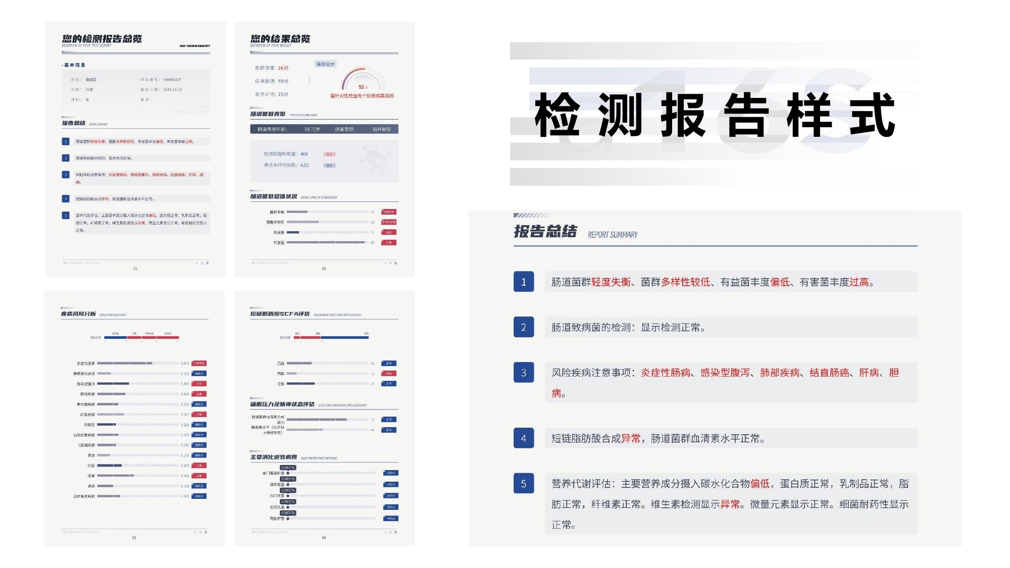 检测报告样式总览
